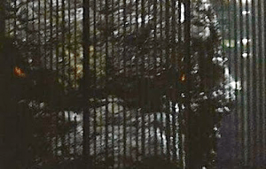 Godzilla 2014 sneak peek